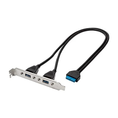 PCI 부류를 가진 이중 USB 암 케이블에 어미판 20pin