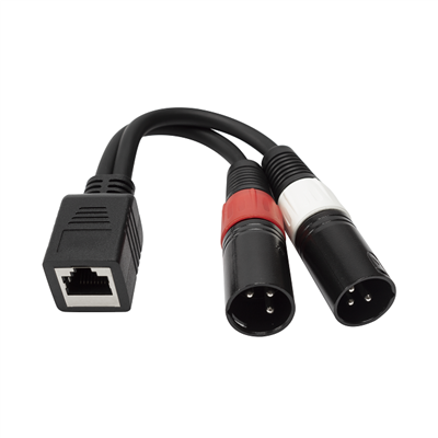 듀얼 XLR 플러그 오디오 케이블에 RJ45 암 소켓